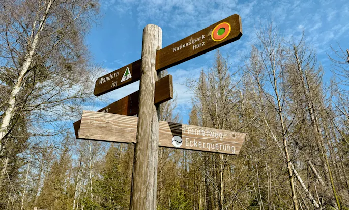 Pionierweg an der Eckertalsperre