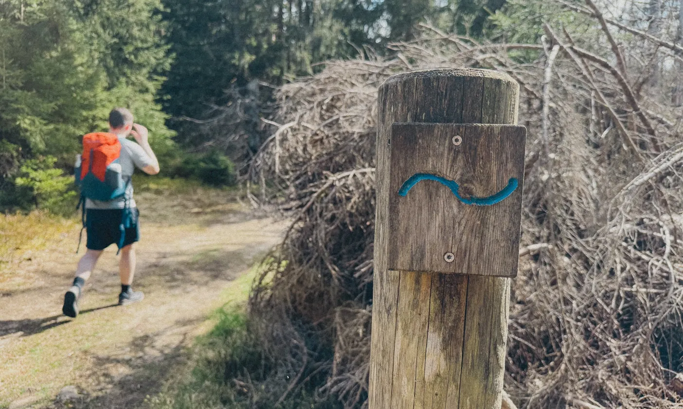 Pionierweg an der Eckertalsperre mit Hund
