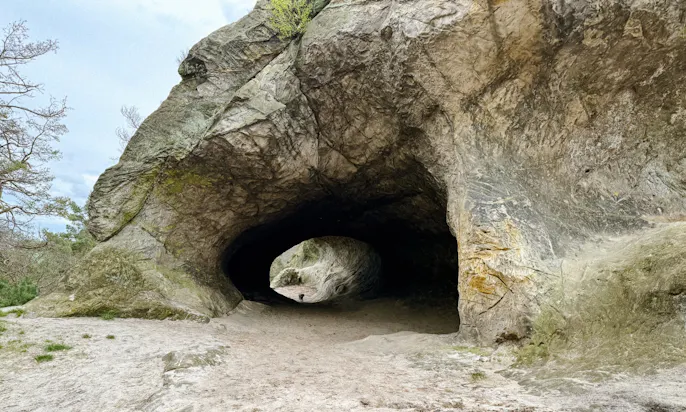 Hund im Kuhstahl an der Teufelsmauer