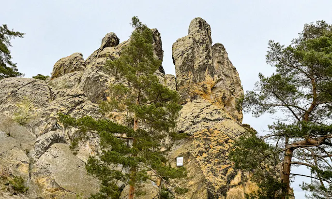 Felsen beim Hamburger Wappen der Teufelsmauer im Harz