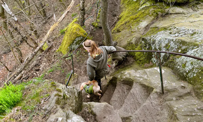 Teufelsmauer mit Hund