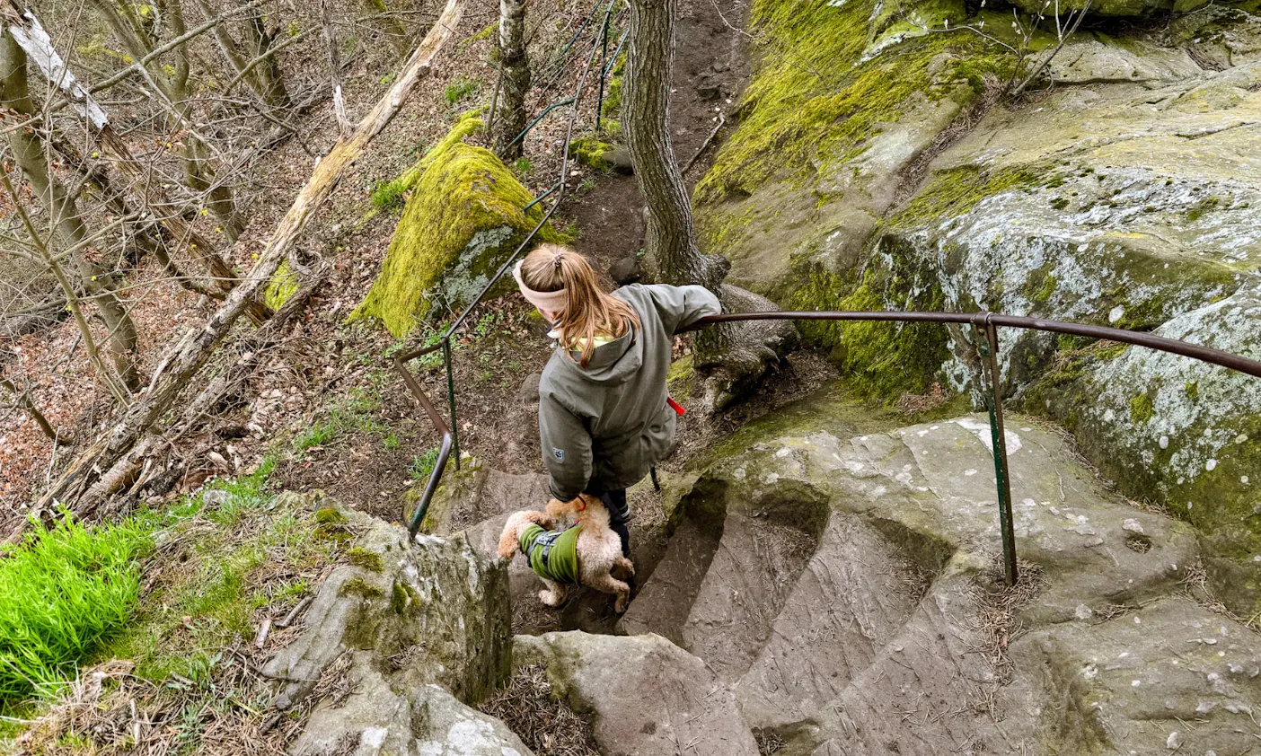 Teufelsmauer im Harz mit Hund