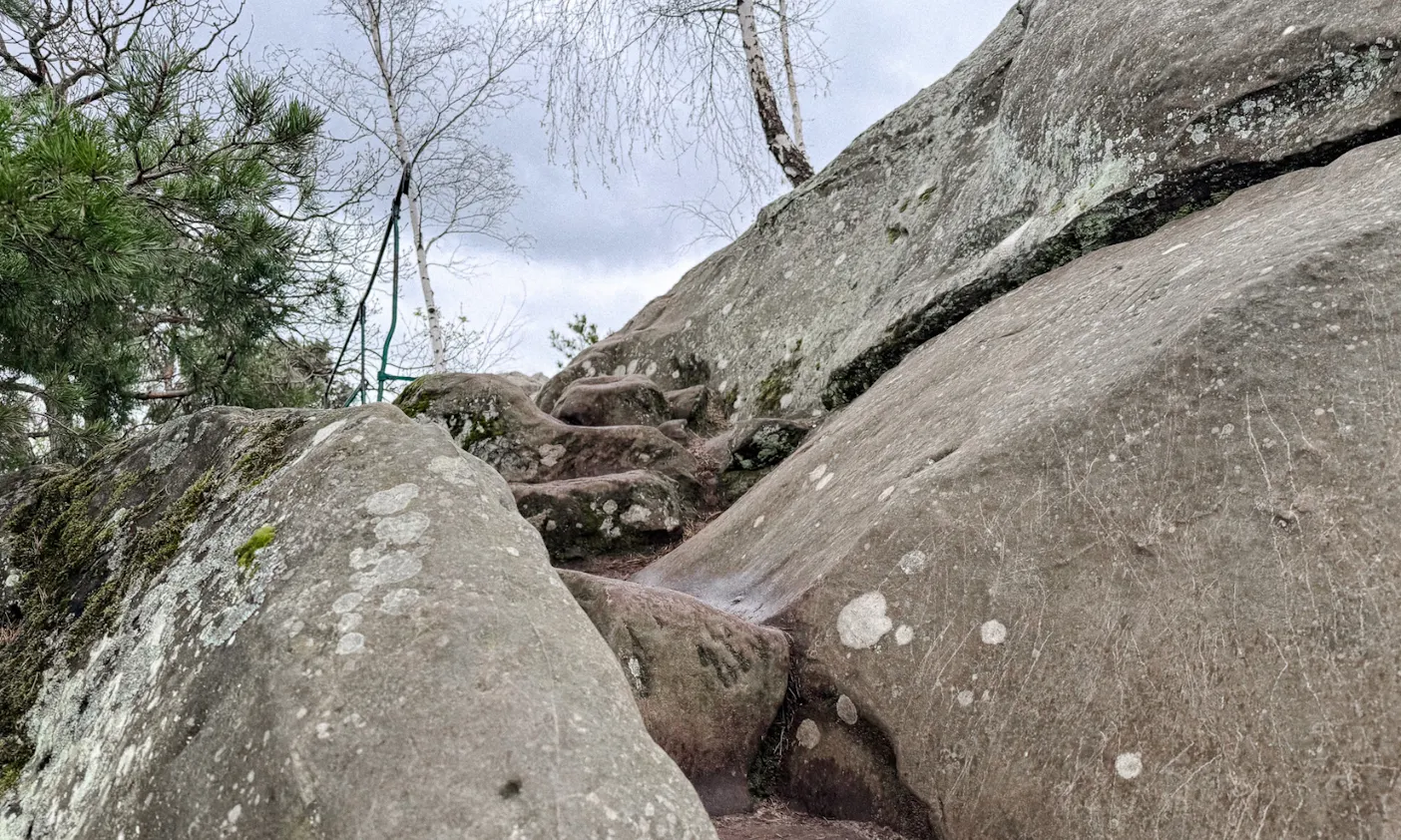 Großvaterfelsen auf der Teufelsmauer im Harz