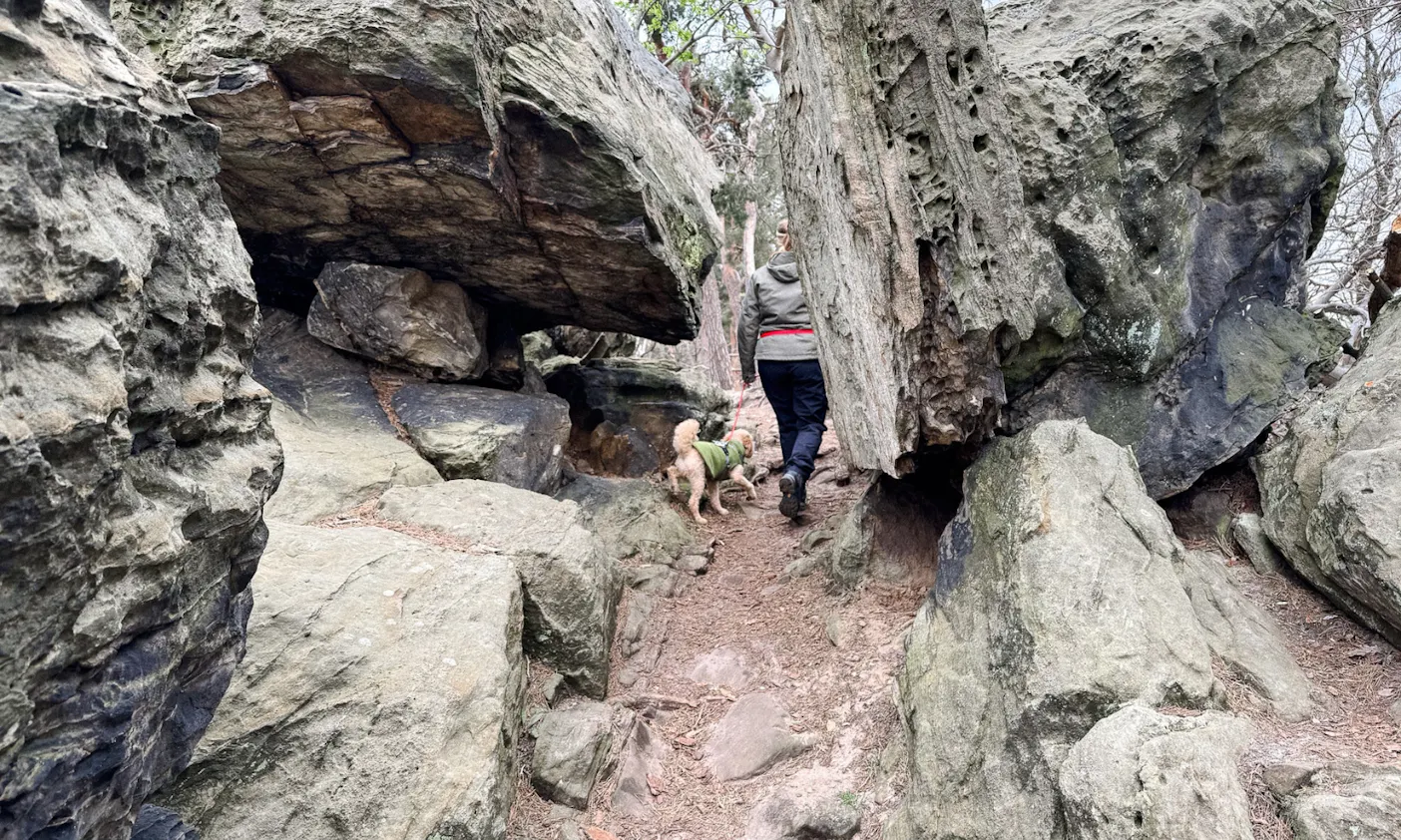 Eine Frau und ein Hund beim Hamburger Wappen der Teufelsmauer im Harz