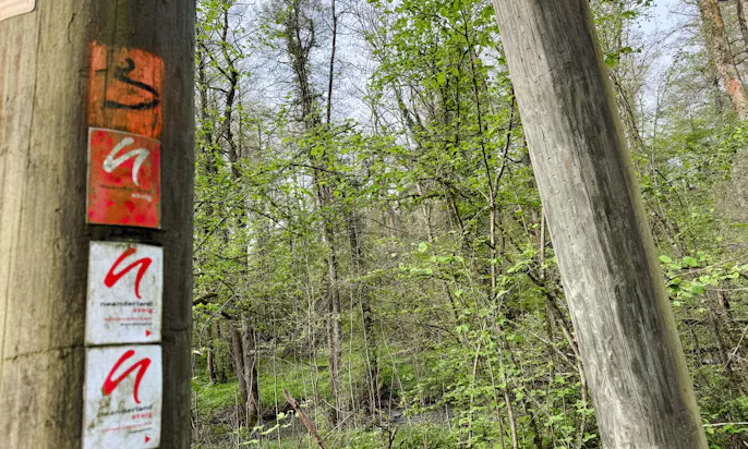 Wanderweg an der Düssel im Neandertal bei frühlingshaftem Wetter und der Natur die aufblüht