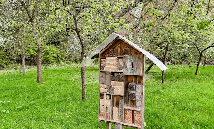 Insektenhotel und Streuobstwiesen an der Düssel im Frühling im Neandertal