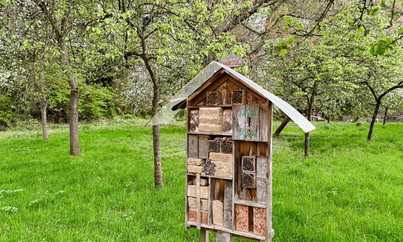 Insektenhotel und Streuobstwiesen an der Düssel im Frühling im Neandertal