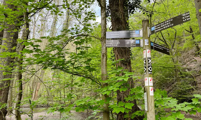 Wanderwege im Neandertal