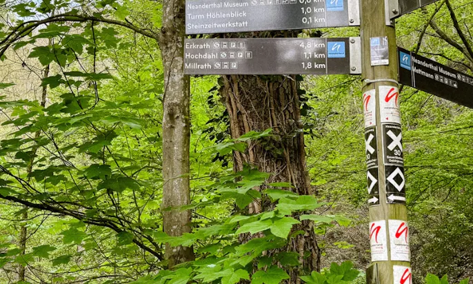 Neanderlandsteig mit Hund