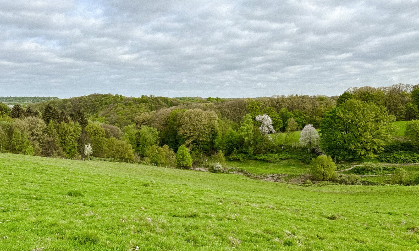 Das eiszeitliche Wildgehege