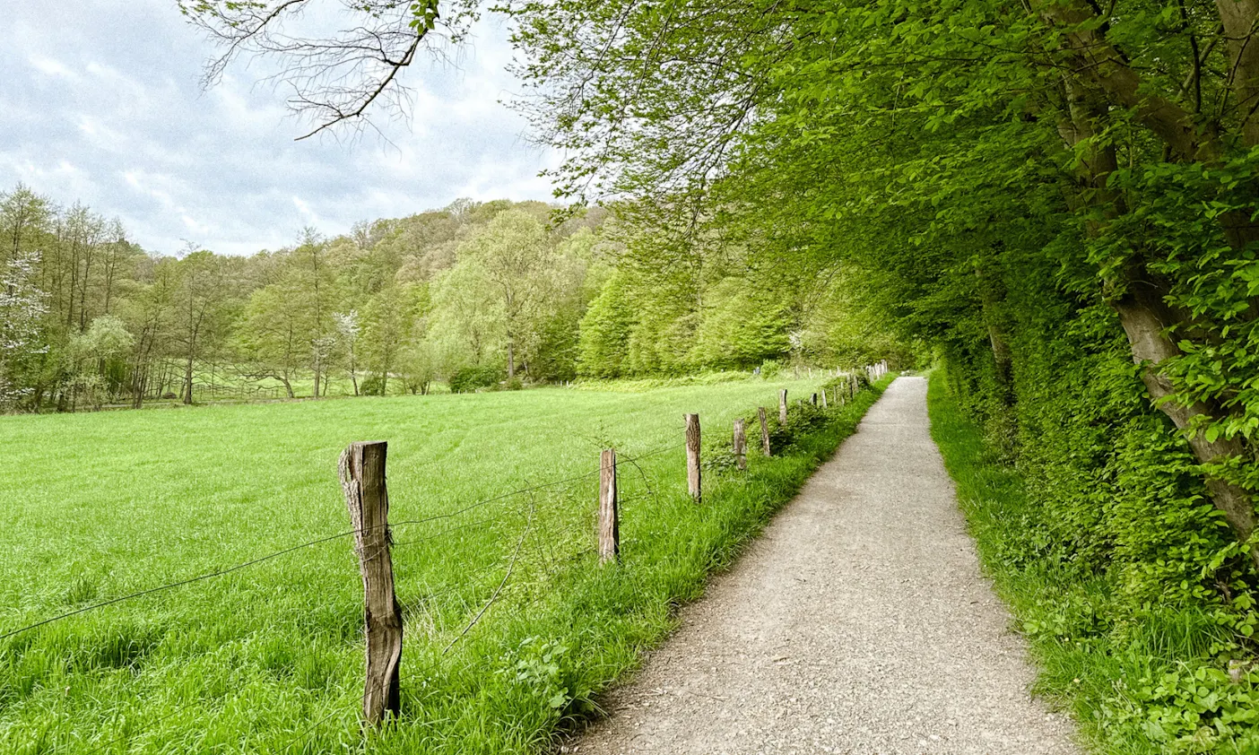 Wanderweg im Neandertal im Frühling