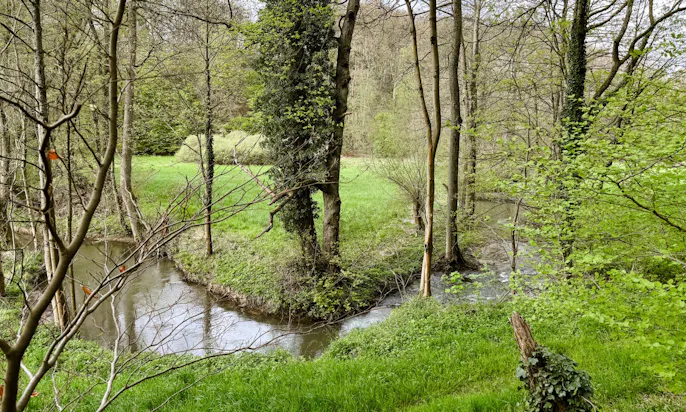 Düssel im Neandertal bei frühlingshaftem Wetter und der Natur die aufblüht