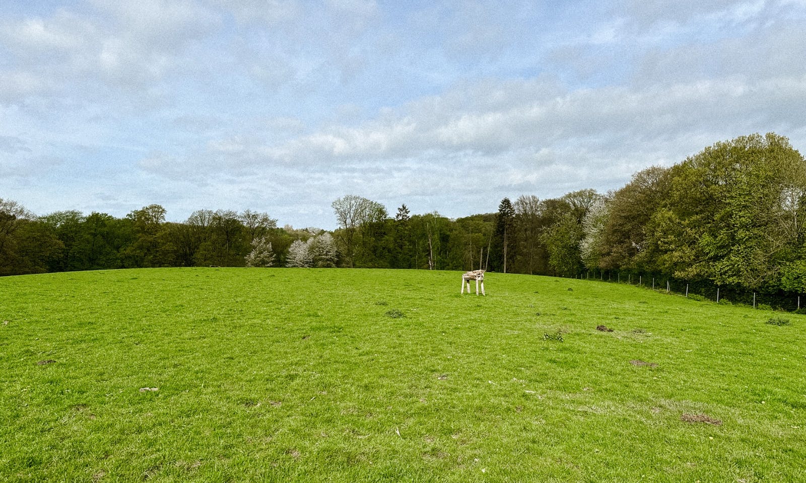 Das eiszeitliche Wildgehege