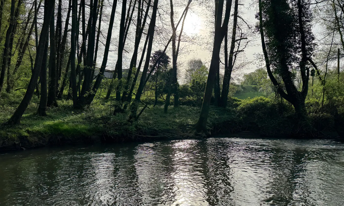 Düssel im Neandertal im Frühling