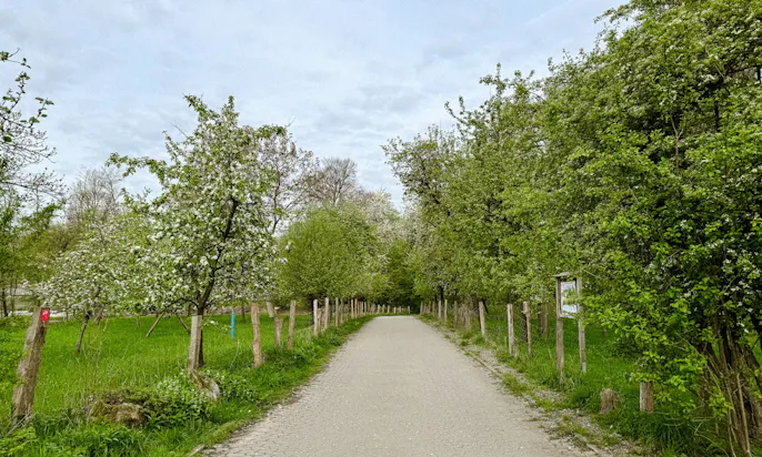 Streuobstwiesen im Neandertal an der Düssel