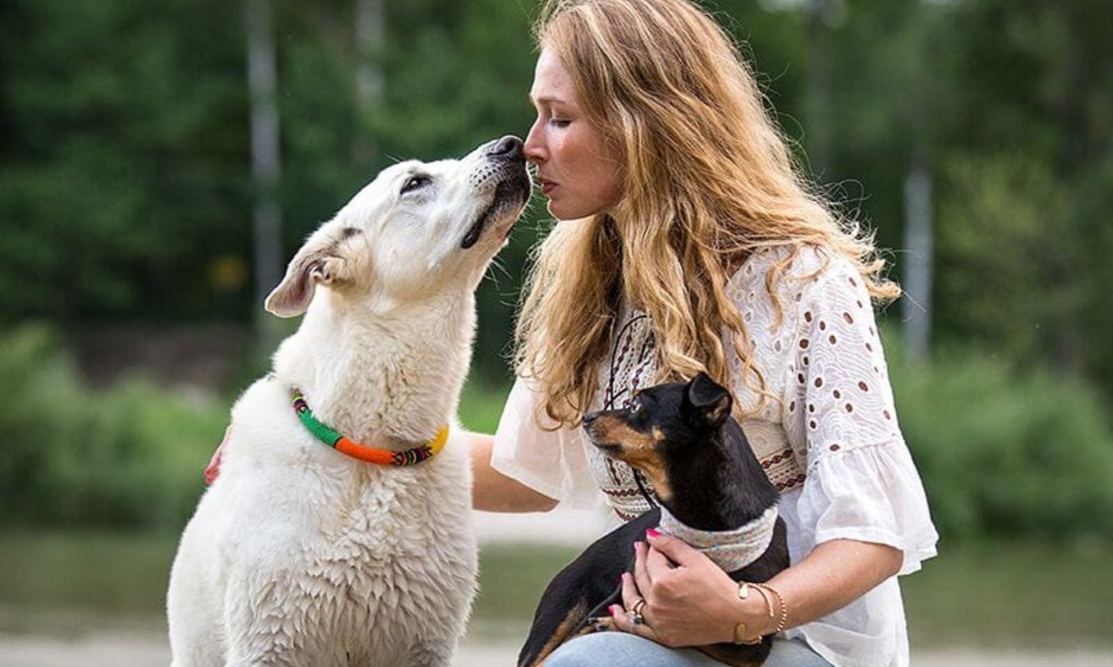 Vegane Hundeernährung: Mythen, Fakten und Einblicke von VEGDOG