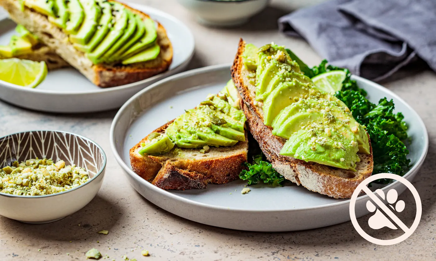 Avocados sind giftig für Hunde