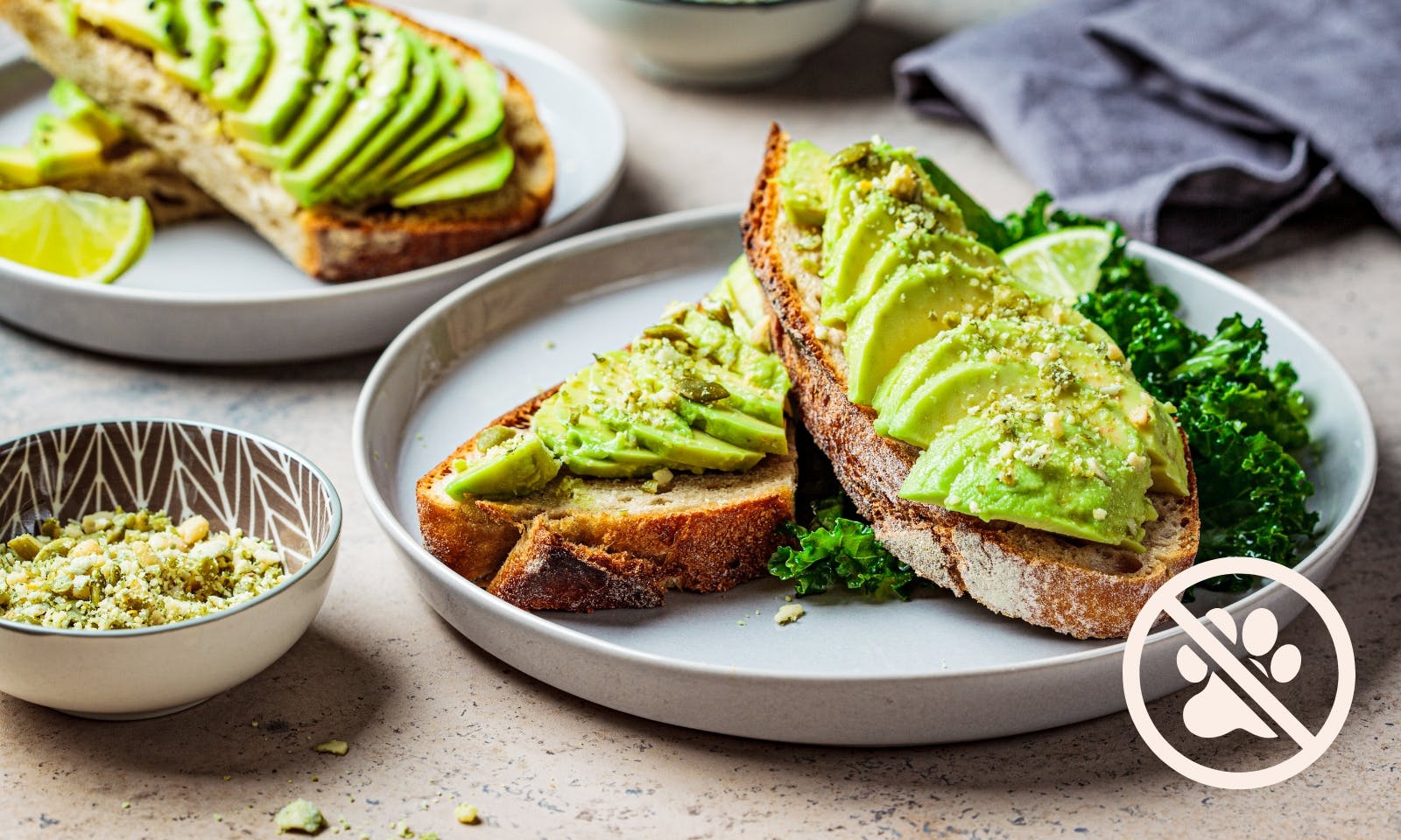 Avocados sind giftig für Hunde