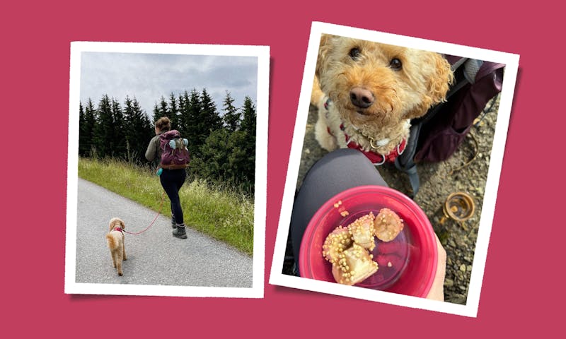 Wanderproviant: Gesunde Snacks für dich und deinen Hund