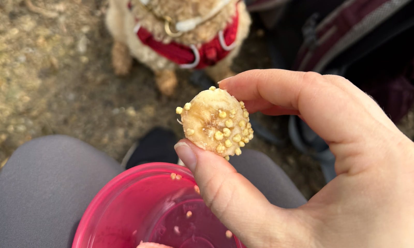 Bananen-Hirse-Häppchen