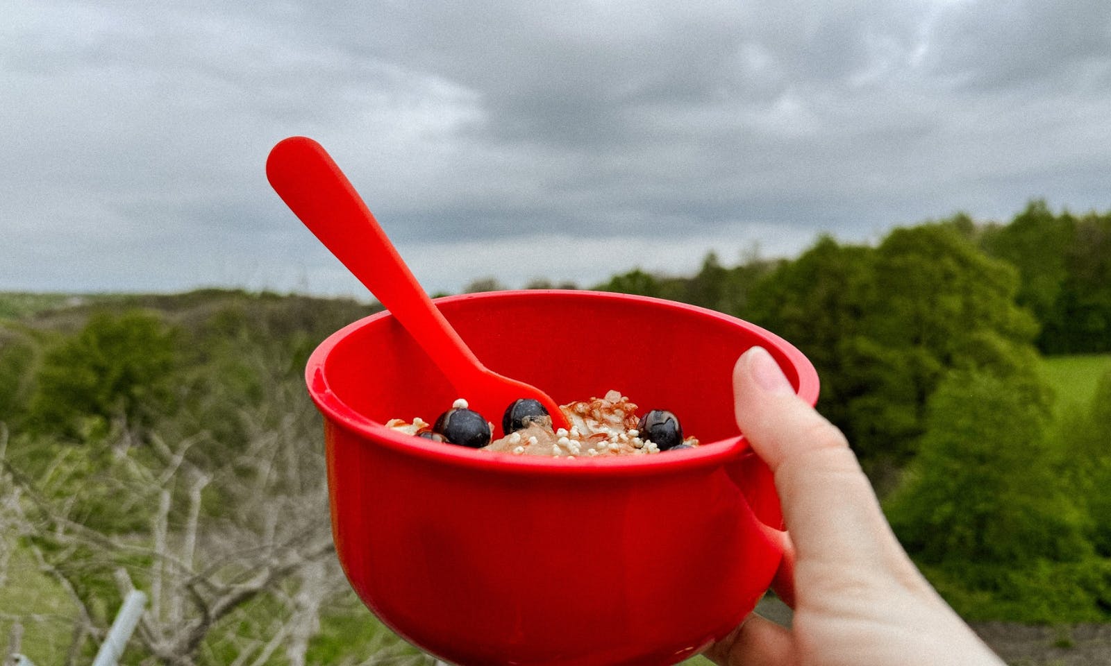 Porridge für dich und deinen Hund