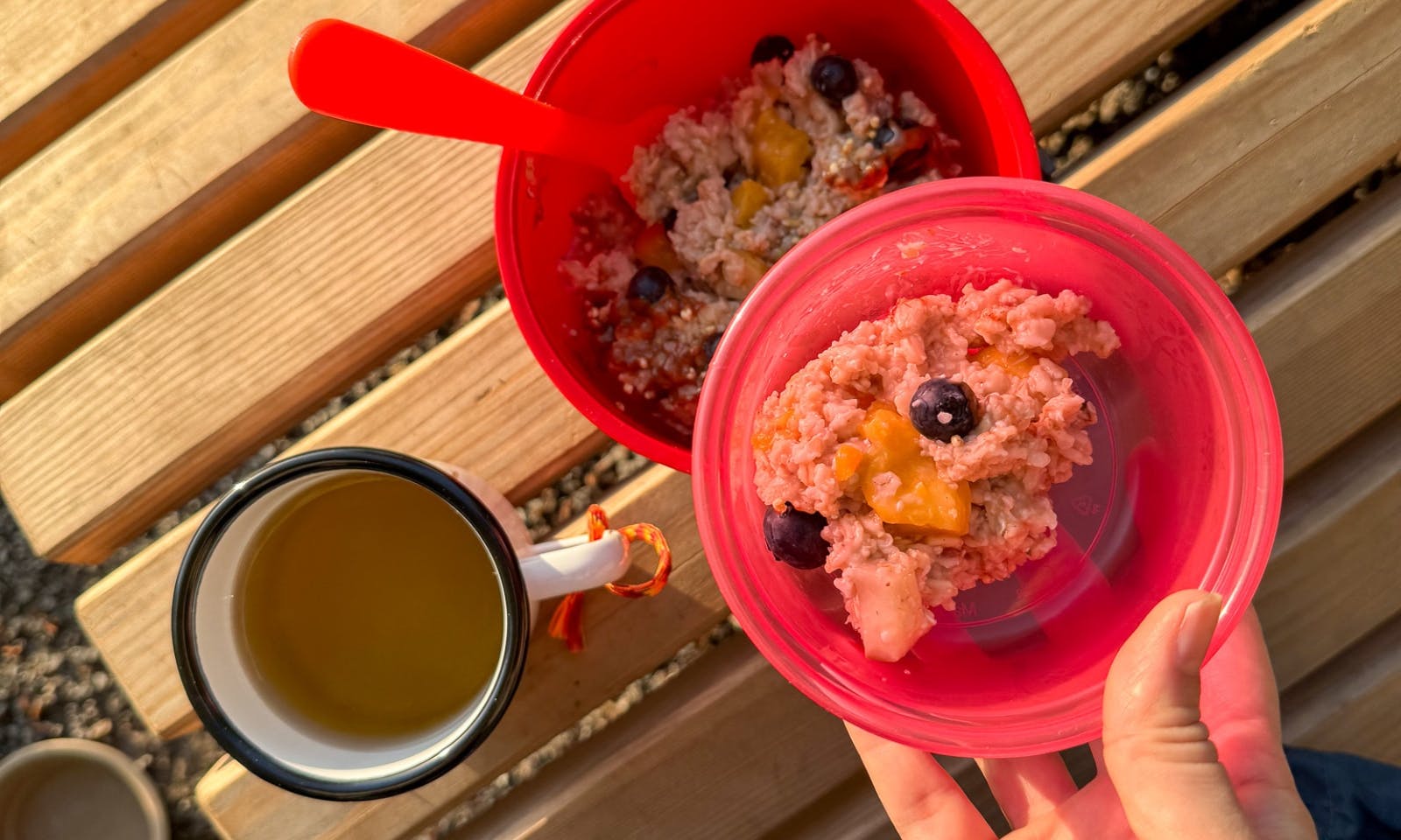 Porridge für dich und deinen Hund