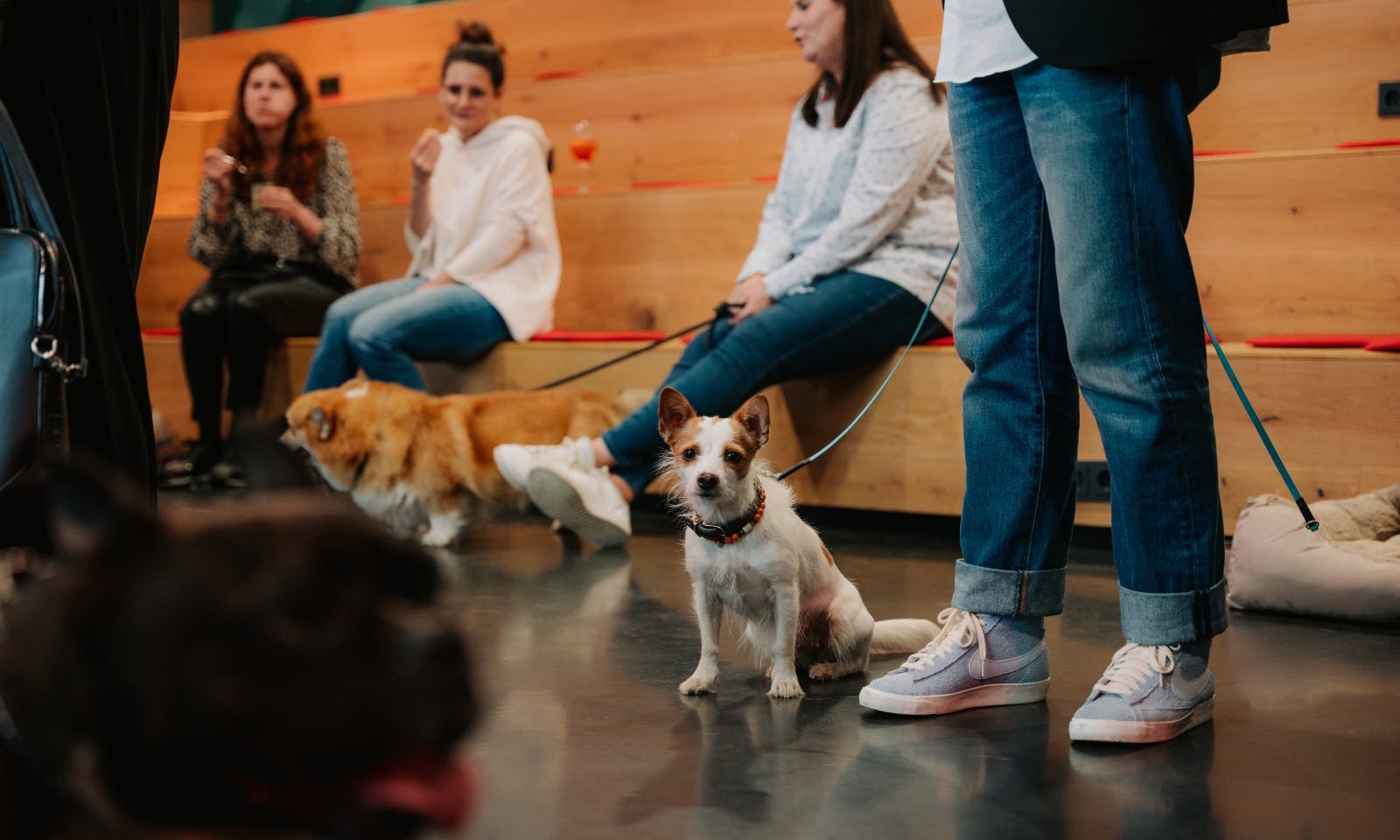 Bürohunde im Handelsblatt bei einem After-Work-Event