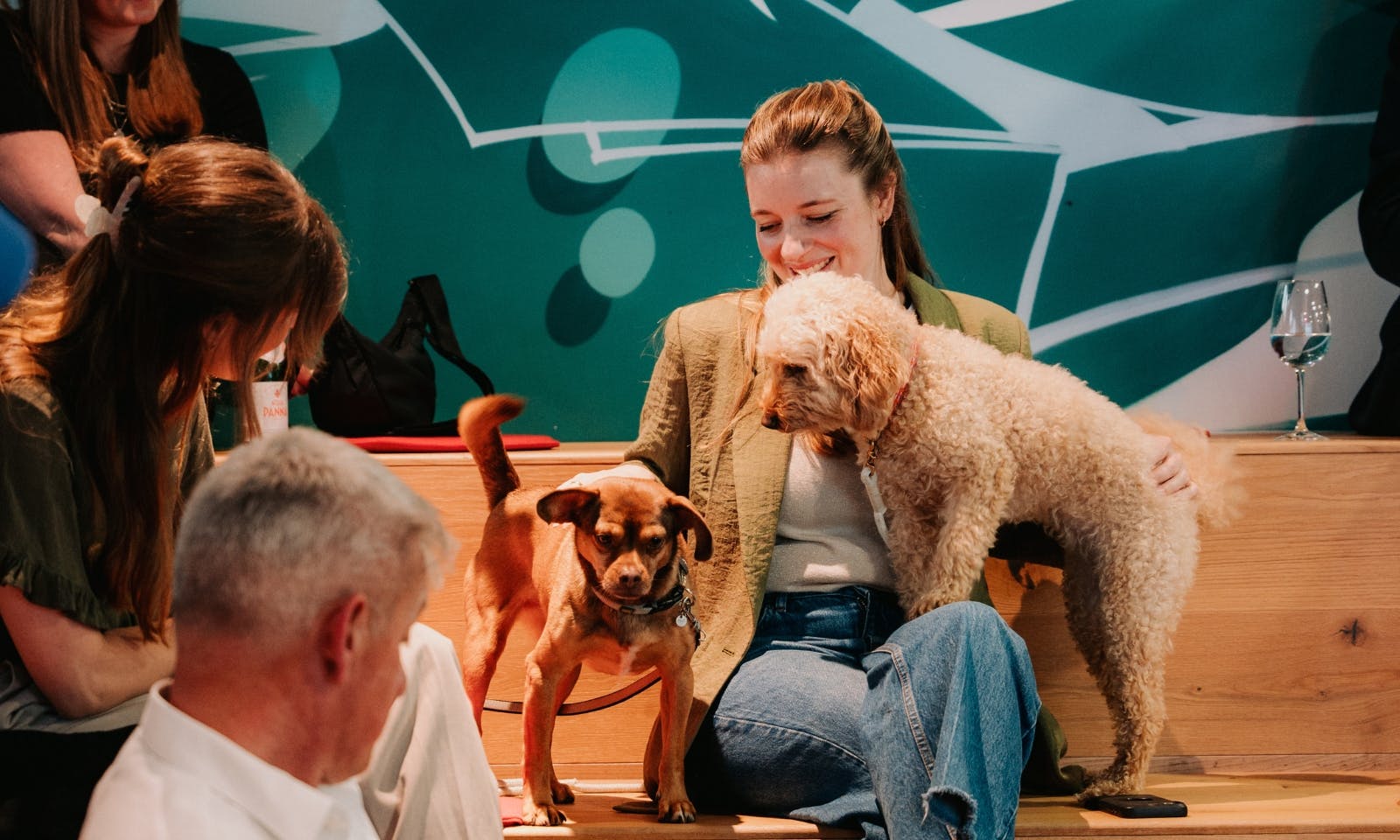 Mini Goldendoodle und Mischling bei einem Bürohunde-Event im Handelsblatt in Düsseldorf