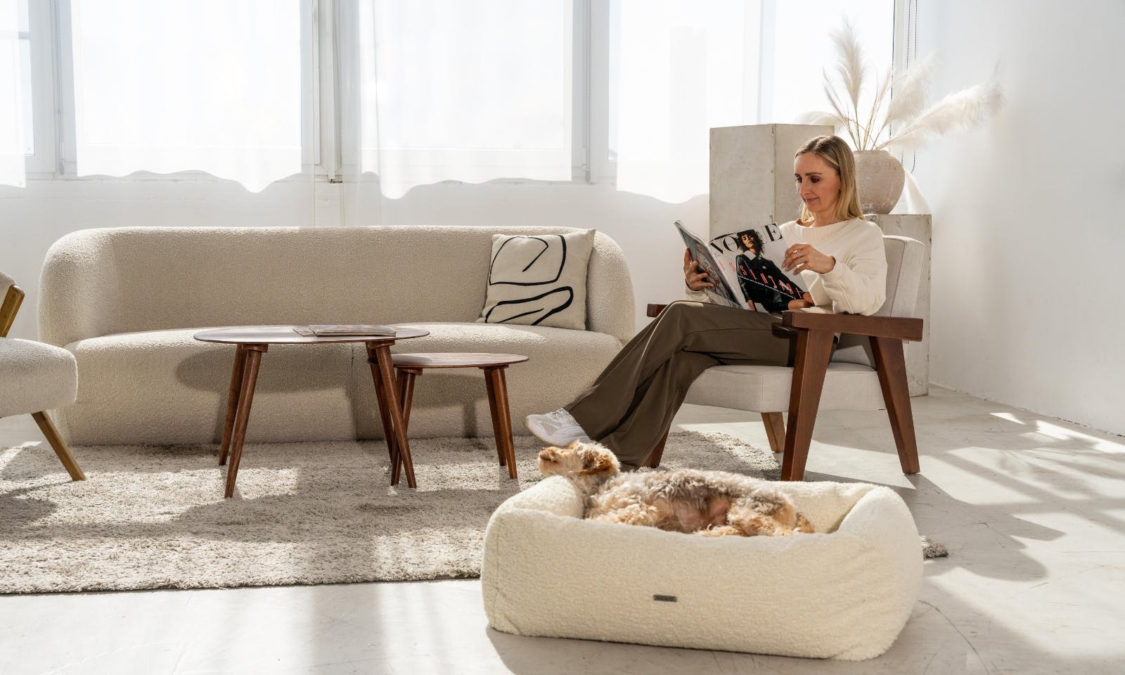 Goldendoodle in einem minimalistischen, stilvollen Hundebett von Buciano