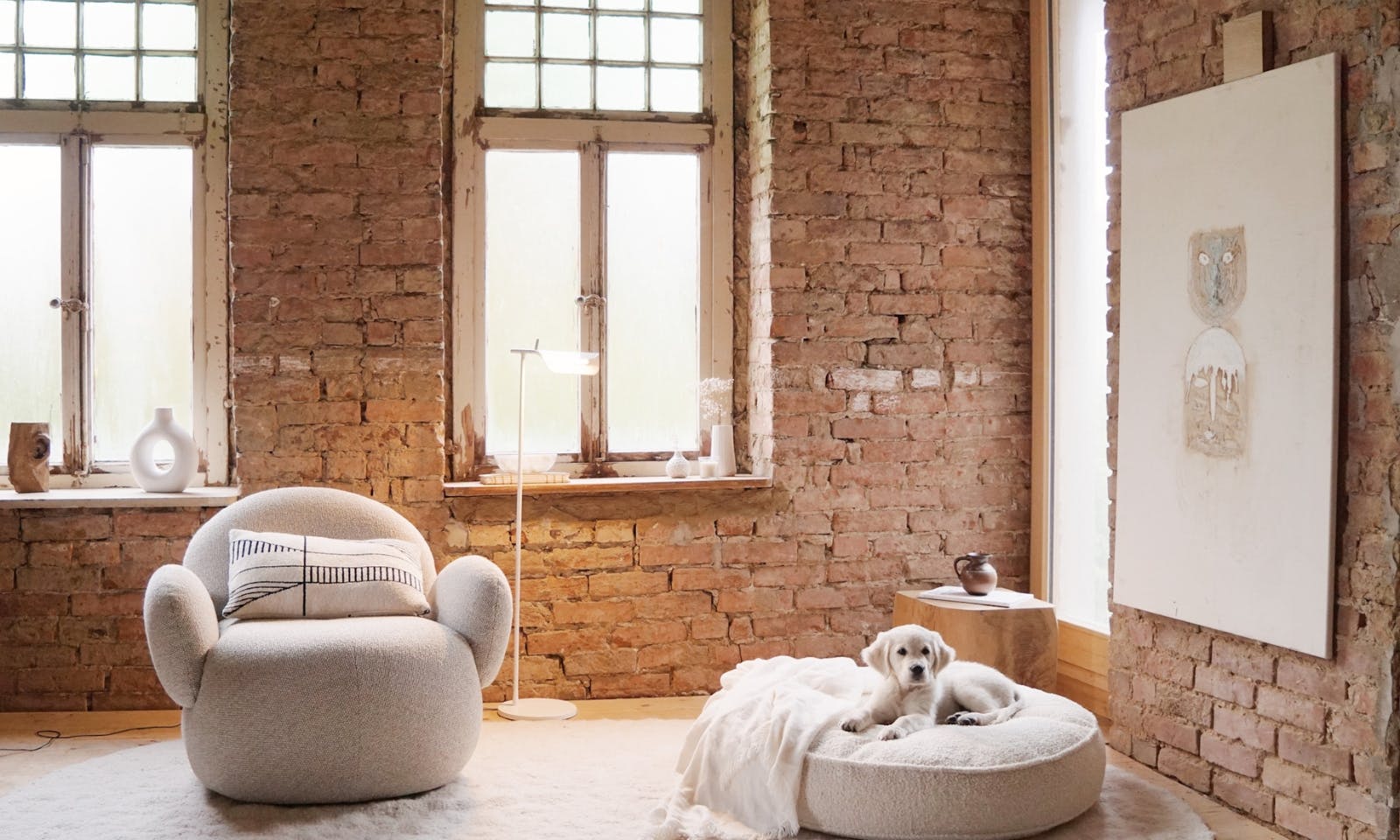 Golden Retriever in einem minimalistischen, stilvollen Hundebett von Buciano