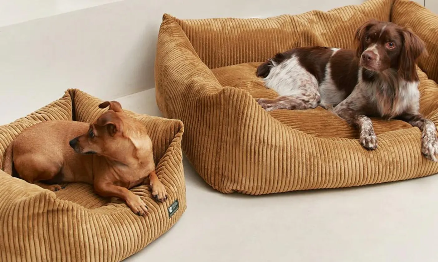 Cafide Hundebett
