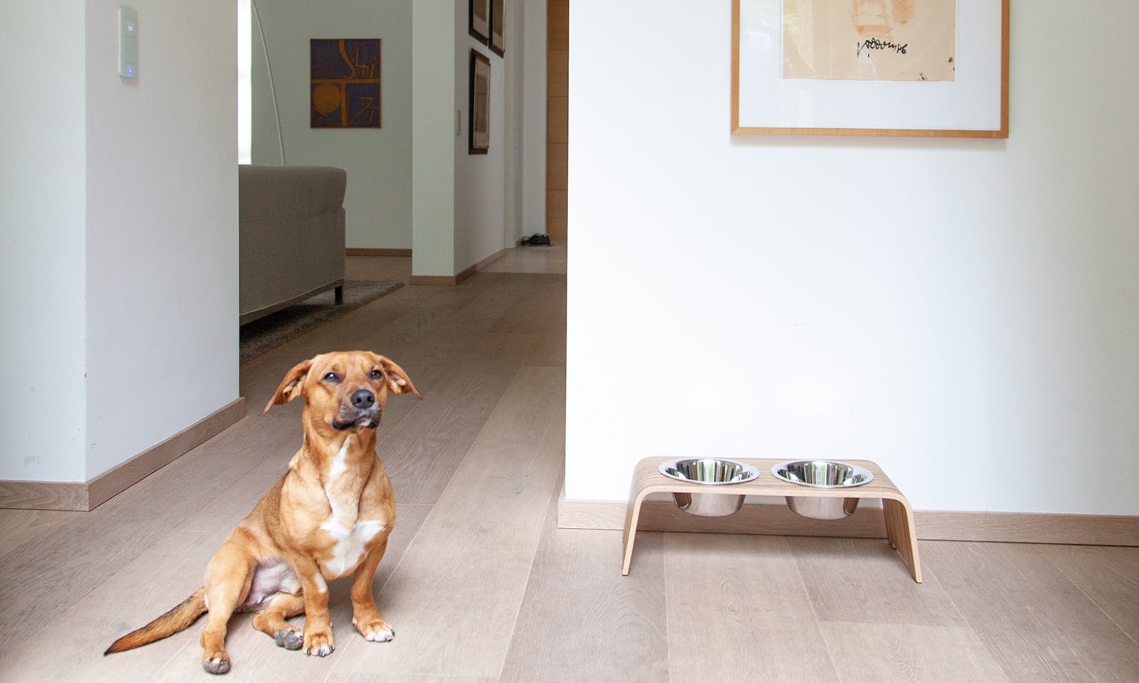 Hund sitzt vor seiner dogbar