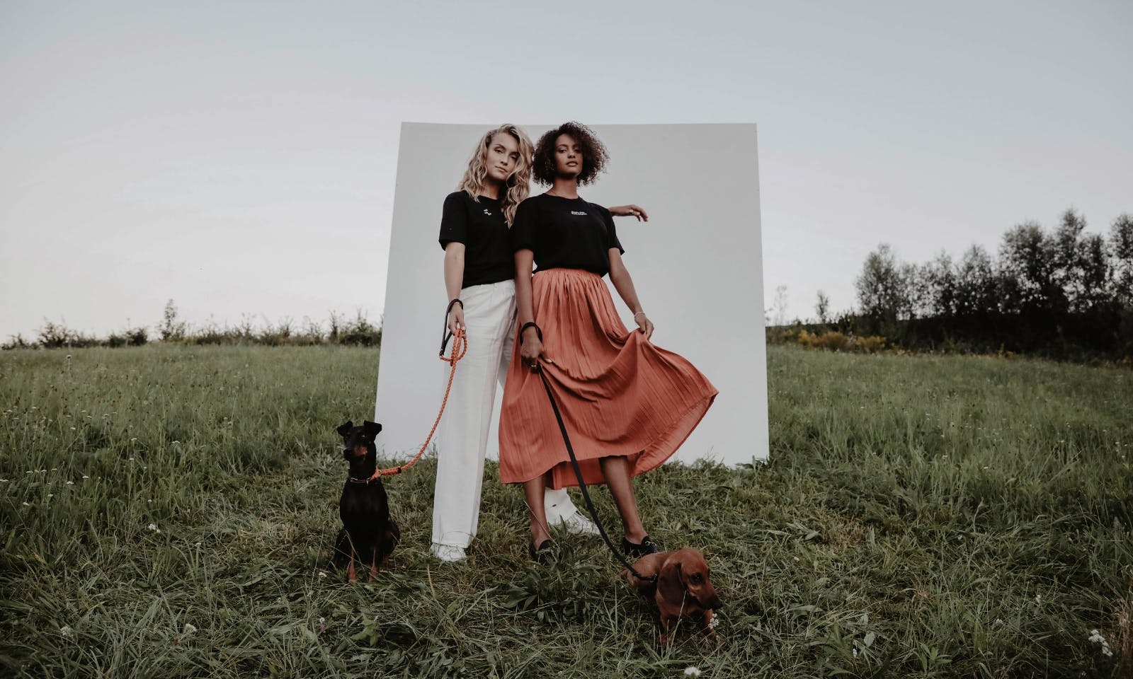 Hundemanufaktur Hund & Herrl: Shirt Kollektion