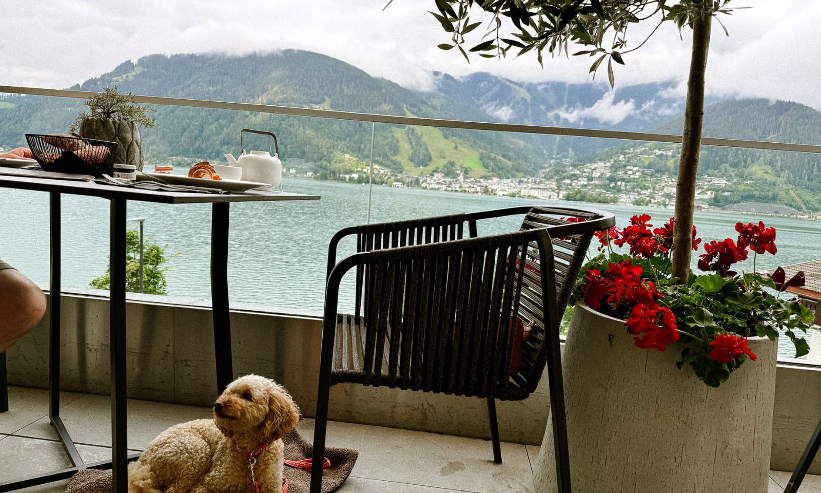 Hundefreundliche Hotels Östtereich