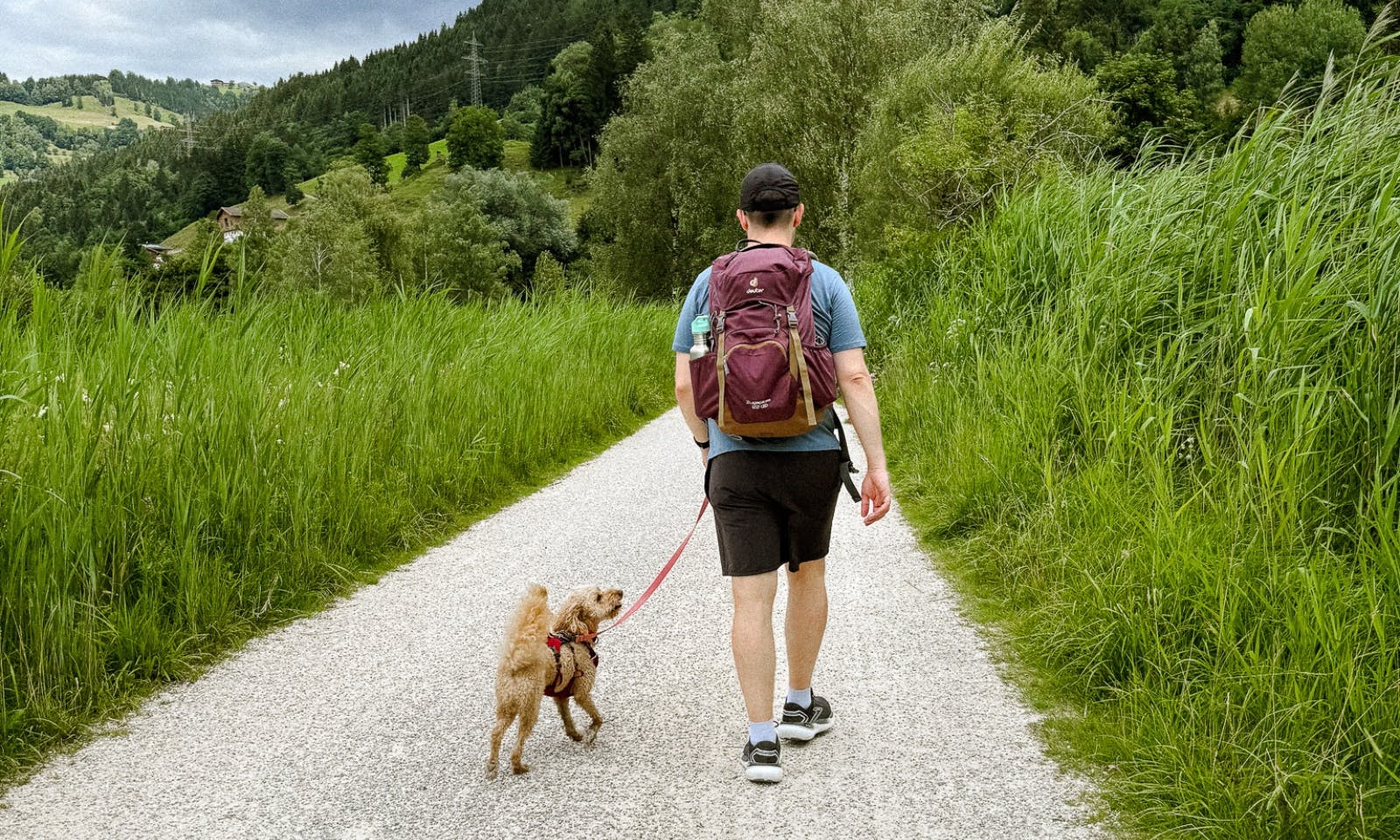 Leichte Wanderleine für Pudel und Goldendoodle