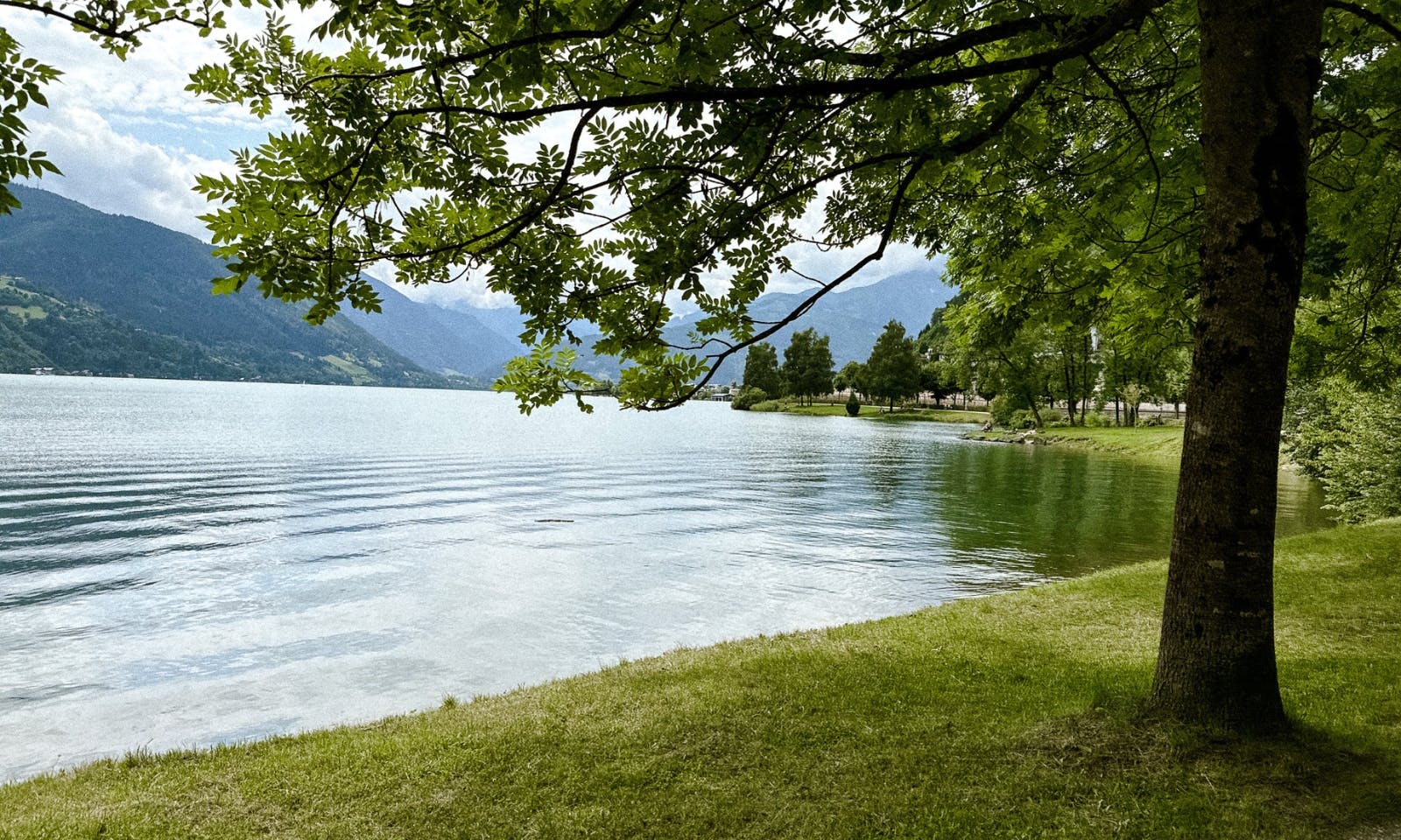 Zeller See in Österreich mit Hund