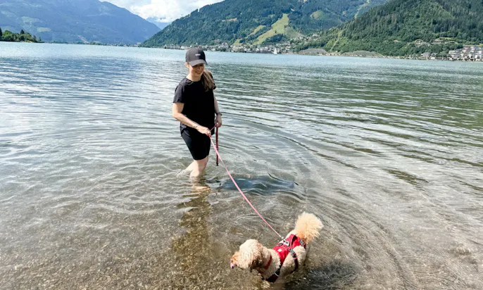 Zeller See mit Hund