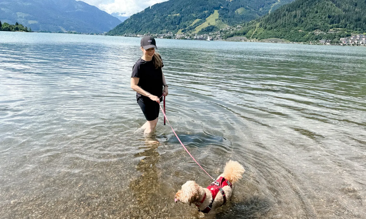 Pudel badet im Zeller See