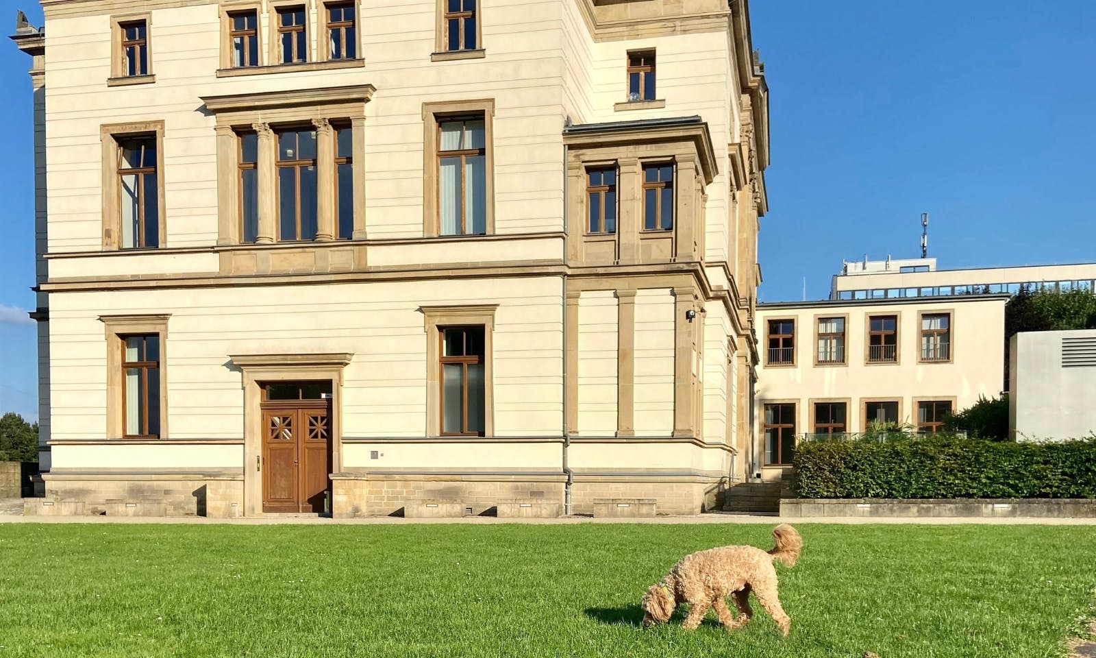 Hund erkundet Saarland