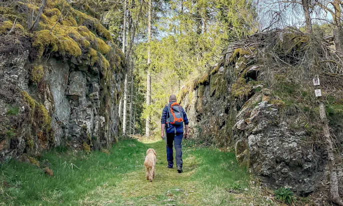 Vauban-Steig im Saarland mit Hund