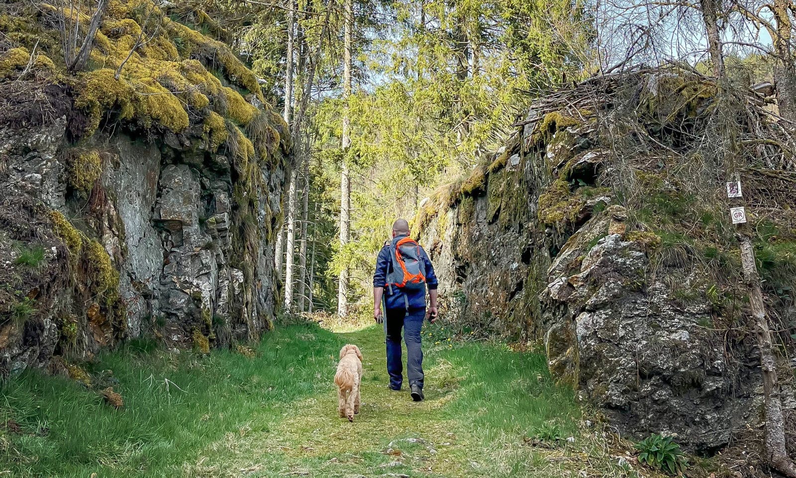 Vauban-Steig im Saarland mit Hund