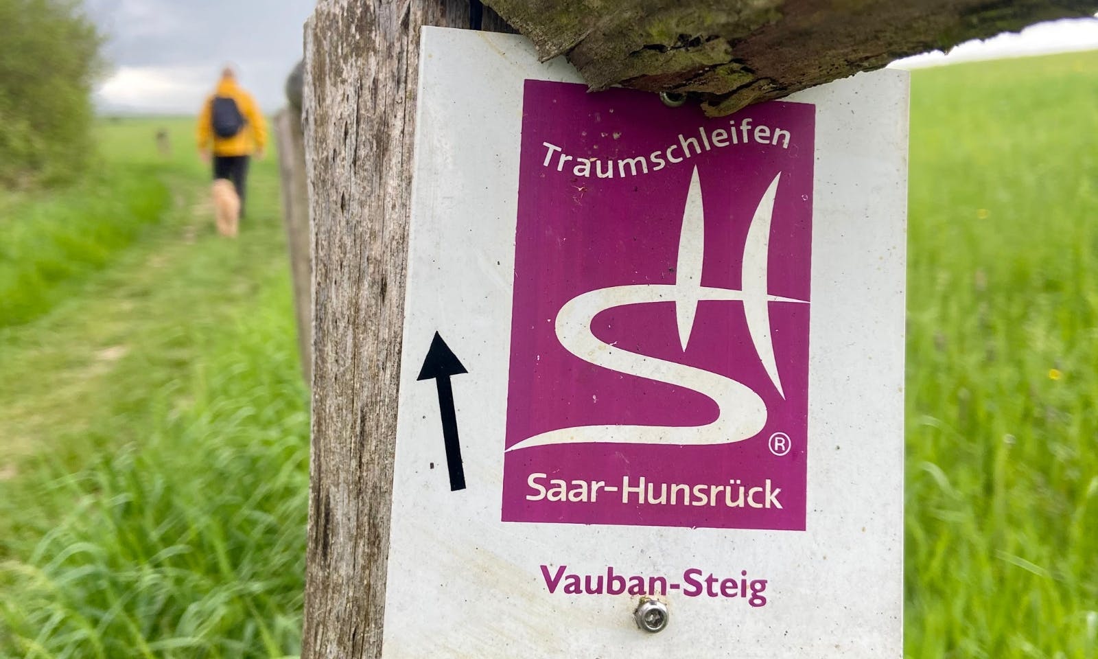 Vauban-Steig im Saarland mit Hund