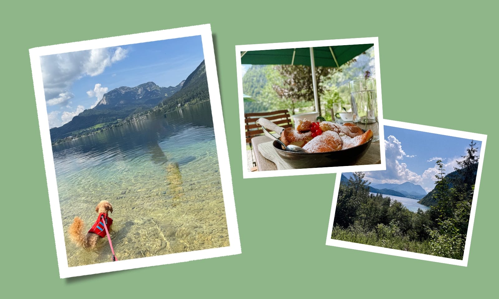 Wandern und Baden mit Hund in der Steiermark