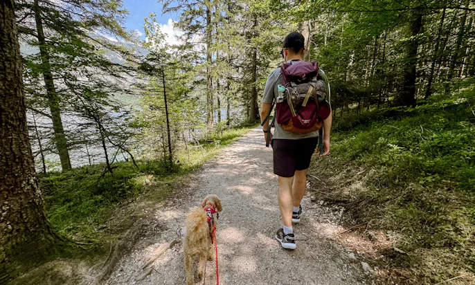 Wandern am Altausseer See in der Steiermark mit Hund