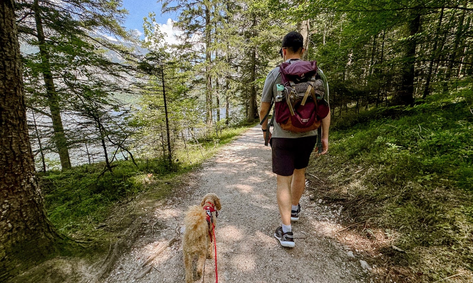 Wandern am Altausseer See in der Steiermark mit Hund