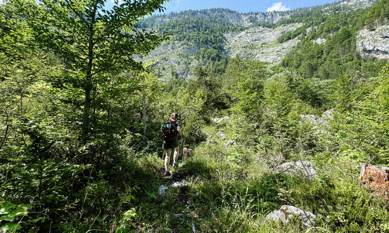 Wandern in der Steiermark