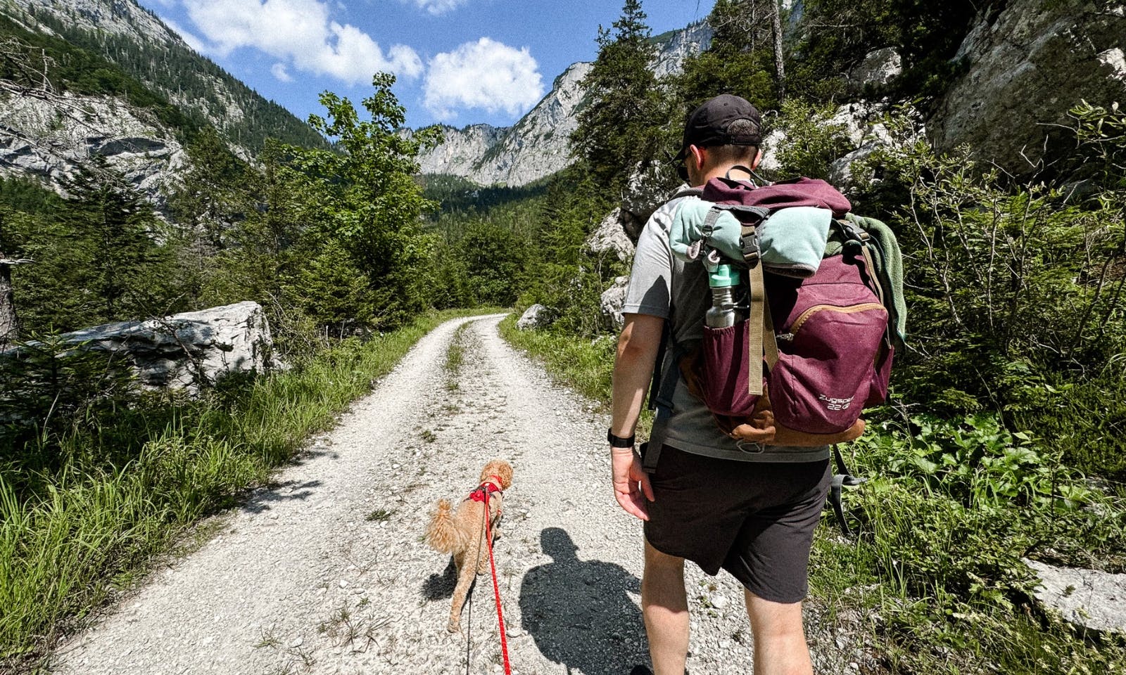 Wandern mit Hund