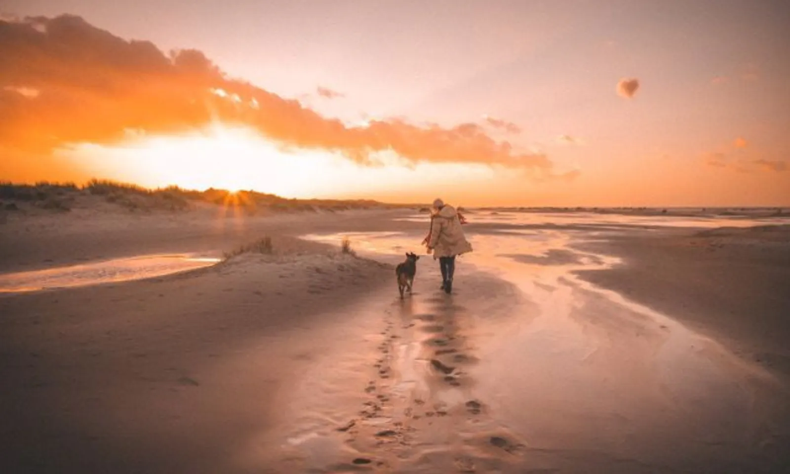 Eine Frau spaziert mit ihrem Schäferhund am Strand in Zeeland