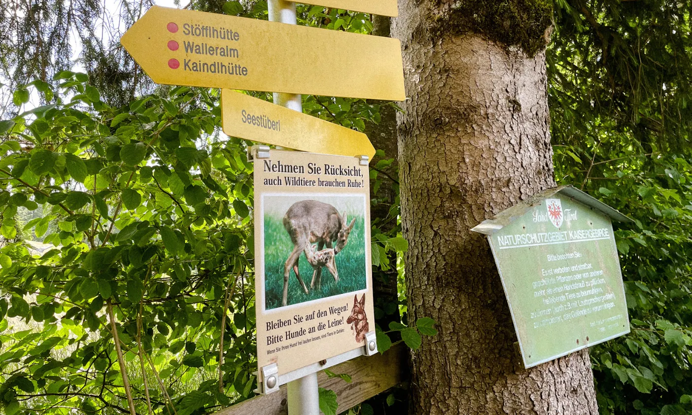 Regeln für Hunde in Tirol