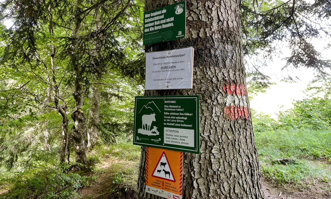 Begegnungen mit Weidetieren in Österreich